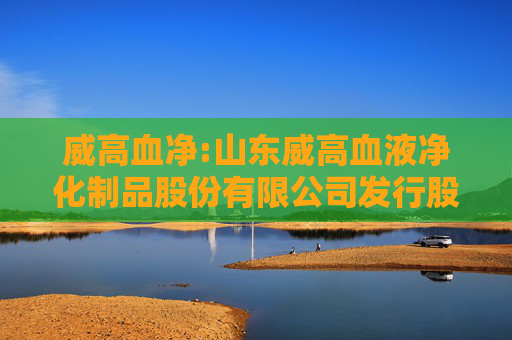 威高血净:山东威高血液净化制品股份有限公司发行股份购买资产暨关联交易报告书（草案）摘要  第1张