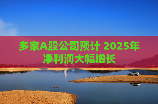 多家A股公司预计 2025年净利润大幅增长