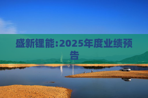 盛新锂能:2025年度业绩预告