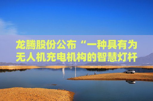 龙腾股份公布“一种具有为无人机充电机构的智慧灯杆”专利