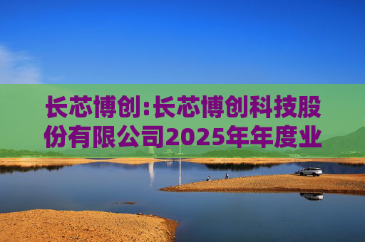 长芯博创:长芯博创科技股份有限公司2025年年度业绩预告