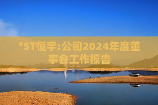 *ST恒宇:公司2024年度董事会工作报告  第1张