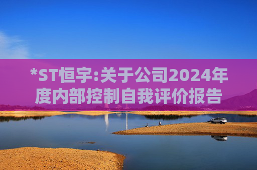 *ST恒宇:关于公司2024年度内部控制自我评价报告  第1张
