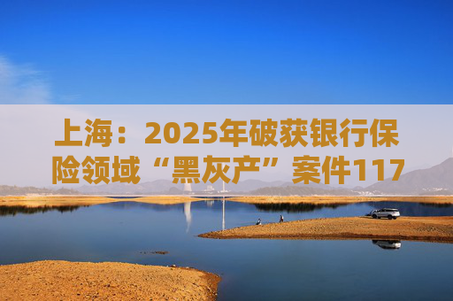 上海：2025年破获银行保险领域“黑灰产”案件117起 持续净化金融生态