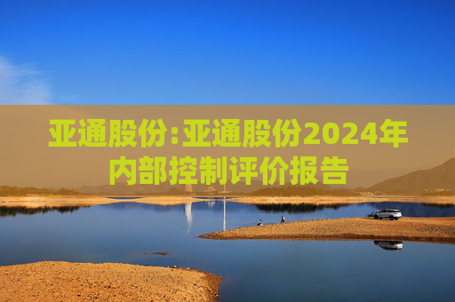 亚通股份:亚通股份2024年内部控制评价报告  第1张