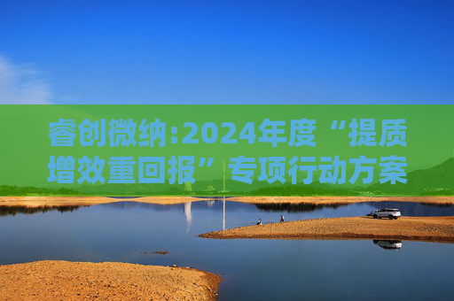 睿创微纳:2024年度“提质增效重回报”专项行动方案的评估报告暨2025年度“提质增效重回报”专项行动方案