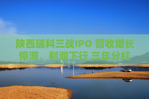 陕西瑞科三战IPO 营收增长停滞、利润下行 三年分红1.46亿