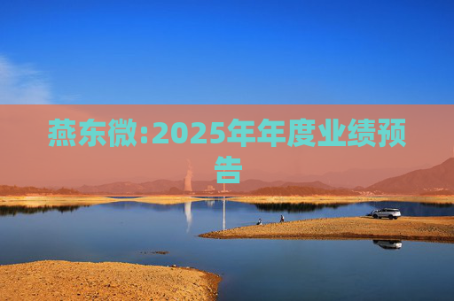 燕东微:2025年年度业绩预告