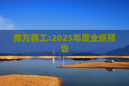 南方精工:2025年度业绩预告