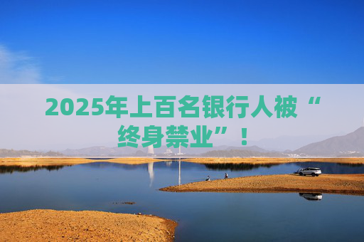2025年上百名银行人被“终身禁业”！
