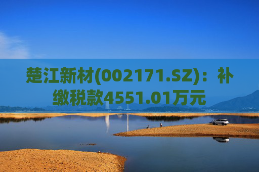 楚江新材(002171.SZ)：补缴税款4551.01万元  第1张