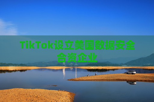 TikTok设立美国数据安全合资企业