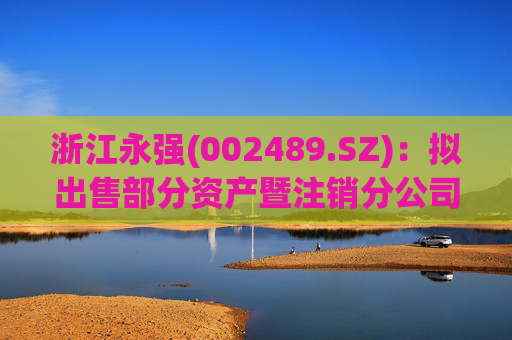浙江永强(002489.SZ)：拟出售部分资产暨注销分公司  第1张