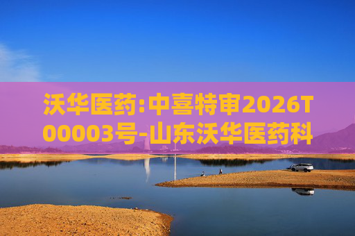 沃华医药:中喜特审2026T00003号-山东沃华医药科技股份有限公司-关联资金占用报告
