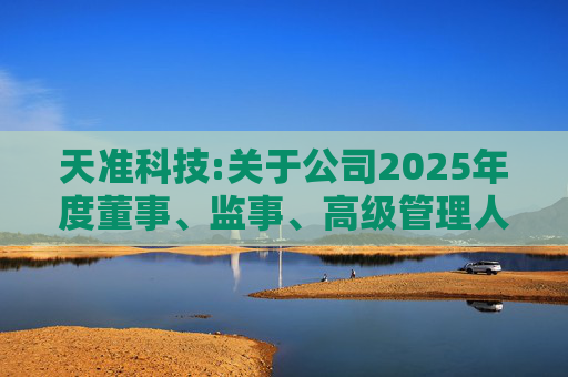 天准科技:关于公司2025年度董事、监事、高级管理人员薪酬方案的公告