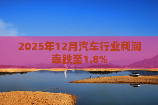 2025年12月汽车行业利润率跌至1.8%