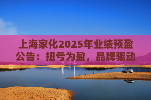 上海家化2025年业绩预盈公告：扭亏为盈，品牌驱动重回增长轨道  第1张