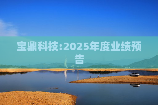 宝鼎科技:2025年度业绩预告