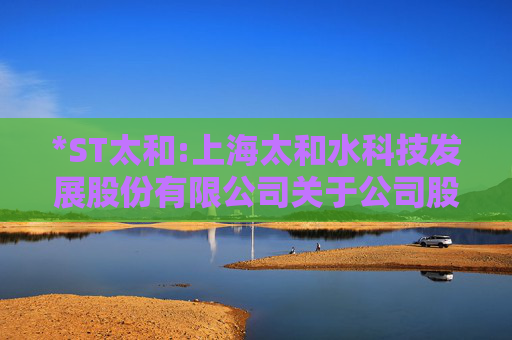 *ST太和:上海太和水科技发展股份有限公司关于公司股票可能被终止上市的风险提示公告