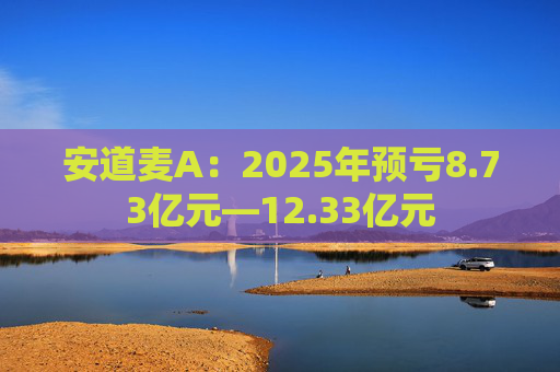 安道麦A：2025年预亏8.73亿元—12.33亿元