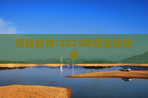 信德新材:2025年度业绩预告