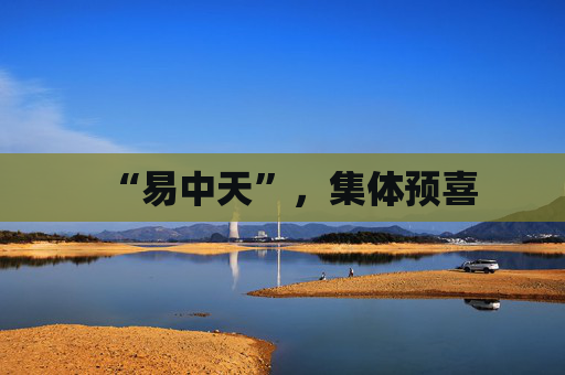 “易中天”，集体预喜