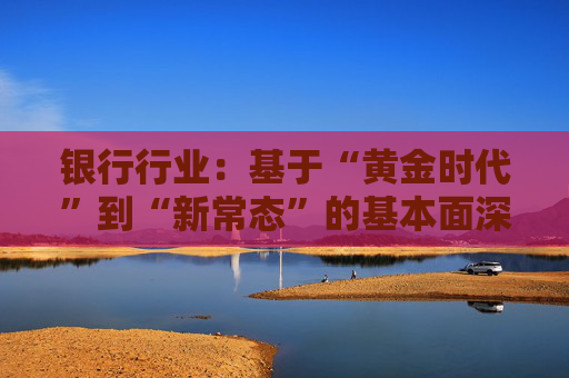 银行行业：基于“黄金时代”到“新常态”的基本面深度复盘：从规模扩张到价值创造：中国银行业二十年演进与中外模式比较