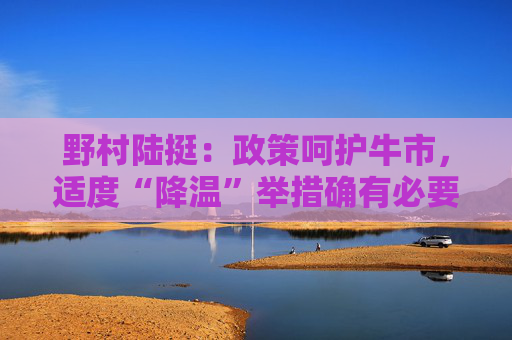 野村陆挺:政策呵护牛市,适度“降温”举措确有必要 第1张 野村陆挺:政策呵护牛市,适度“降温”举措确有必要 第1张