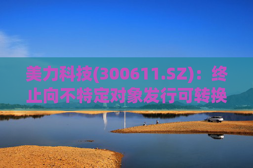 美力科技(300611.SZ)：终止向不特定对象发行可转换公司债券事项并撤回申请文件