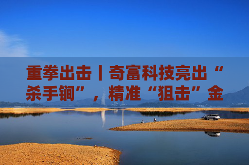 重拳出击丨奇富科技亮出“杀手锏”,精准“狙击”金融黑灰产