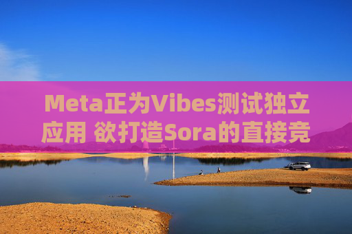 Meta正为Vibes测试独立应用 欲打造Sora的直接竞品