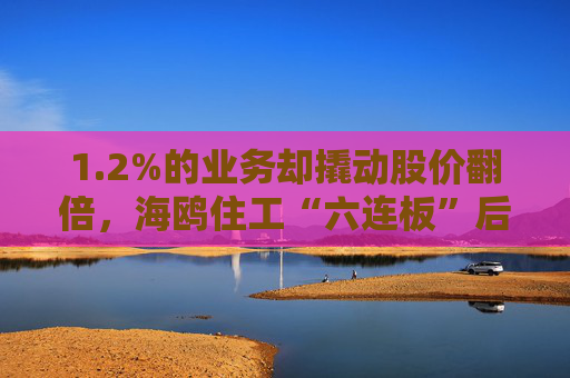 1.2%的业务却撬动股价翻倍,海鸥住工“六连板”后跌停,在越建厂能否扛住关税冲击? 第1张 1.2%的业务却撬动股价翻倍,海鸥住工“六连板”后跌停,在越建厂能否扛住关税冲击? 第1张