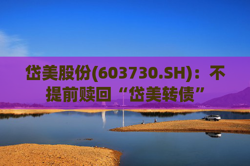岱美股份(603730.SH)：不提前赎回“岱美转债”  第1张