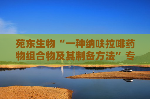 苑东生物“一种纳呋拉啡药物组合物及其制备方法”专利获授权