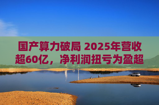 国产算力破局 2025年营收超60亿，净利润扭亏为盈超18亿