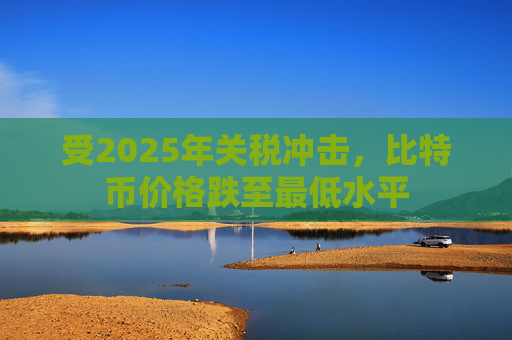 受2025年关税冲击，比特币价格跌至最低水平