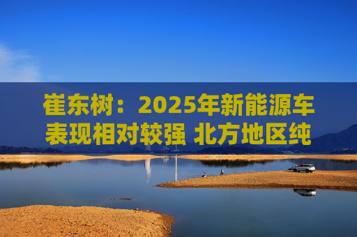 崔东树:2025年新能源车表现相对较强 北方地区纯电动占比提升明显