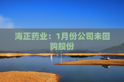 海正药业:1月份公司未回购股份