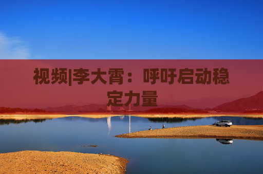 视频|李大霄：呼吁启动稳定力量