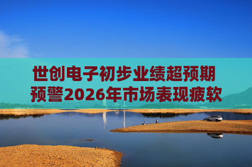 世创电子初步业绩超预期 预警2026年市场表现疲软