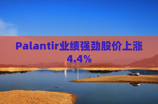 Palantir业绩强劲股价上涨4.4%
