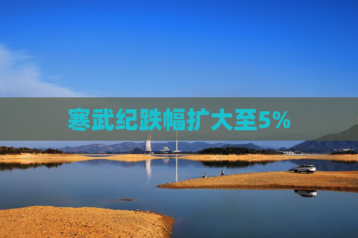 寒武纪跌幅扩大至5%
