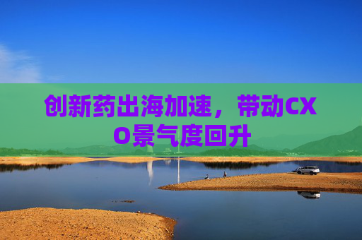 创新药出海加速，带动CXO景气度回升