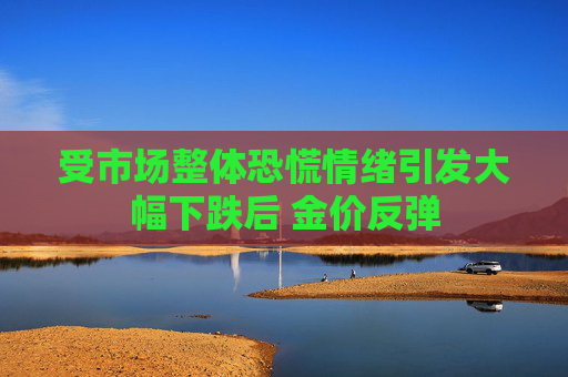 受市场整体恐慌情绪引发大幅下跌后 金价反弹