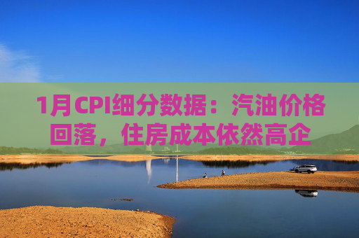 1月CPI细分数据：汽油价格回落，住房成本依然高企