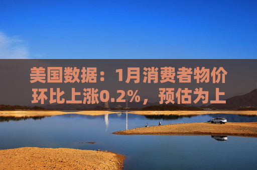 美国数据：1月消费者物价环比上涨0.2%，预估为上涨0.3%