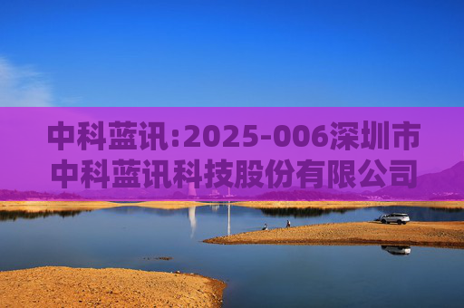 中科蓝讯:2025-006深圳市中科蓝讯科技股份有限公司投资者关系活动记录表