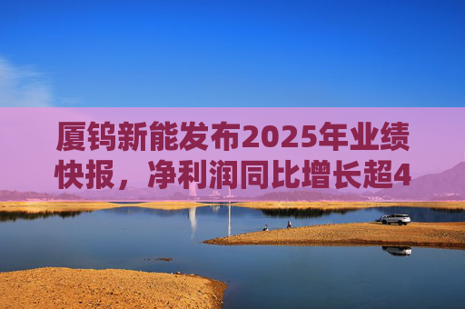 厦钨新能发布2025年业绩快报，净利润同比增长超40%