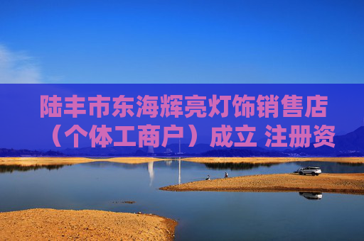 陆丰市东海辉亮灯饰销售店（个体工商户）成立 注册资本1万人民币