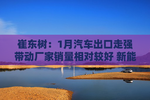 崔东树：1月汽车出口走强带动厂家销量相对较好 新能源车走势平稳